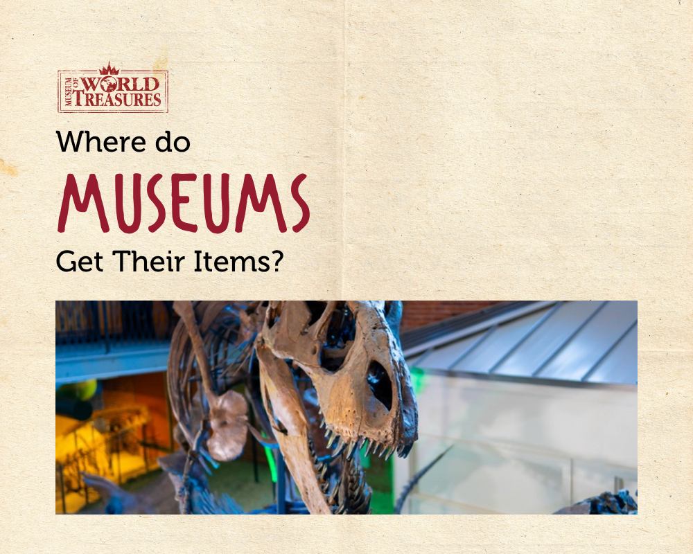 Where Do Museums Get Their Items
