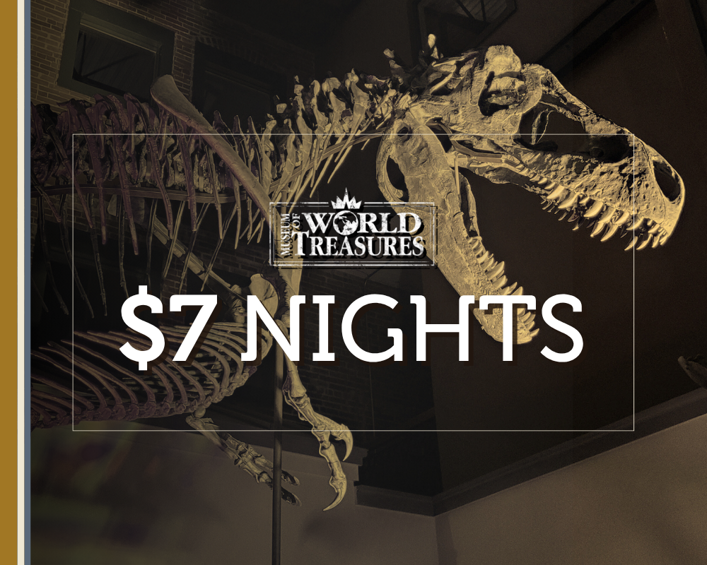 7_Nights_Website_Image.png