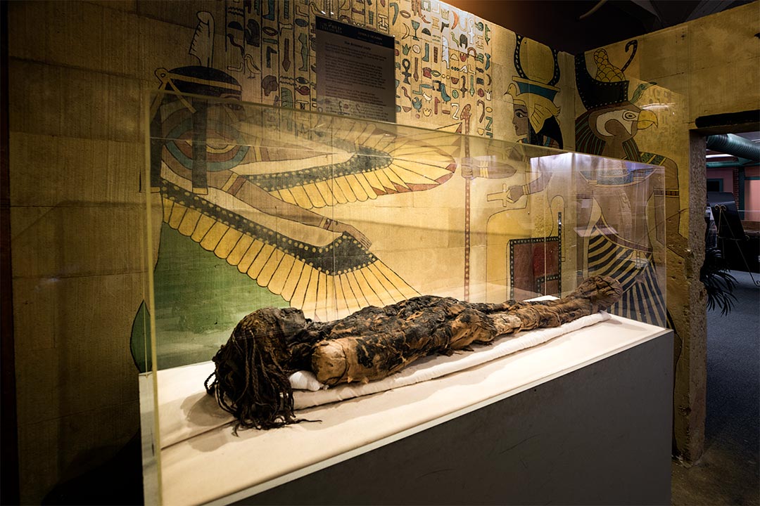 Ancient Egypt Exhibits Museum Of World Treasures