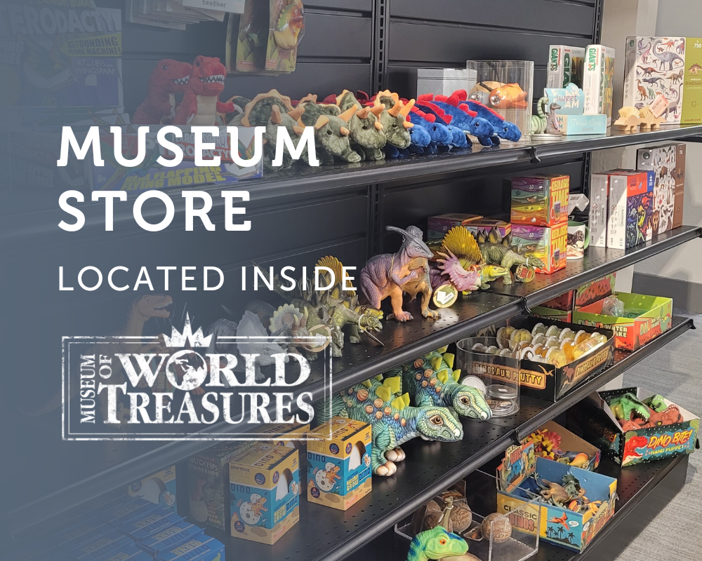 Museum Store Located Inside Museum of World Treasures