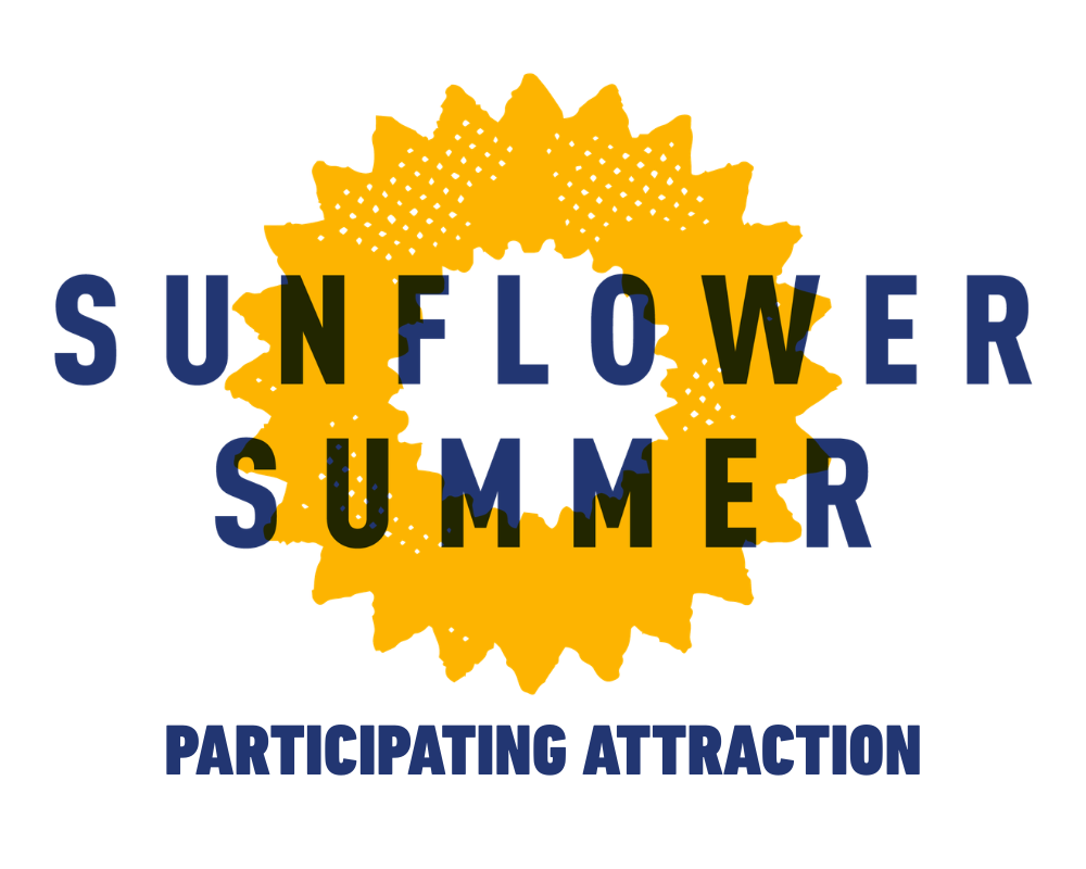 Sunflower Summer